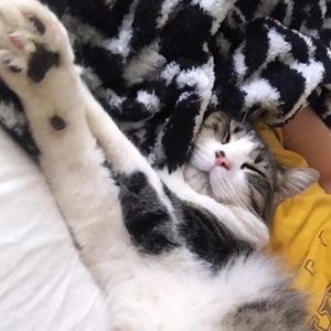 Meet your Posher, Corinne